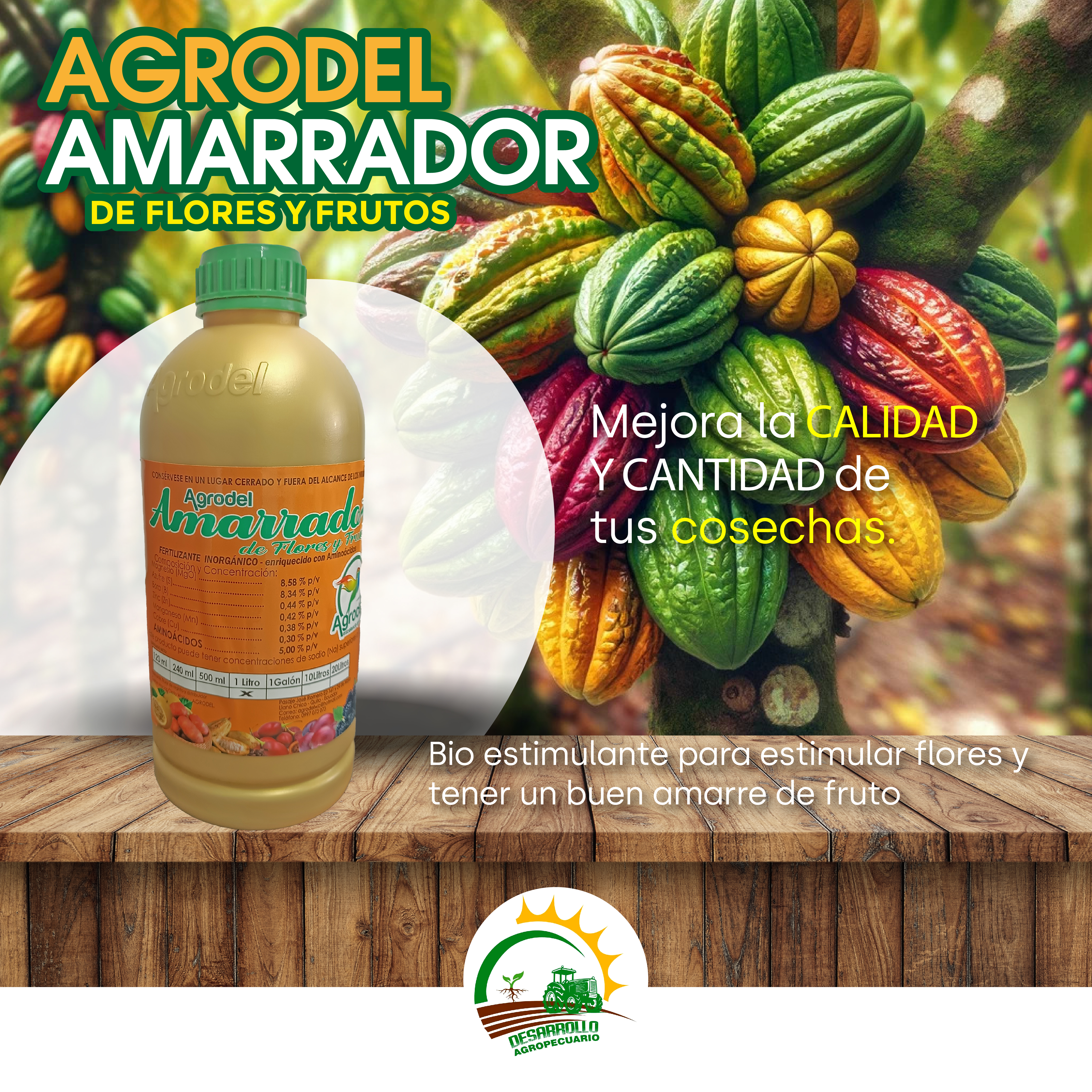 Publicidad 2